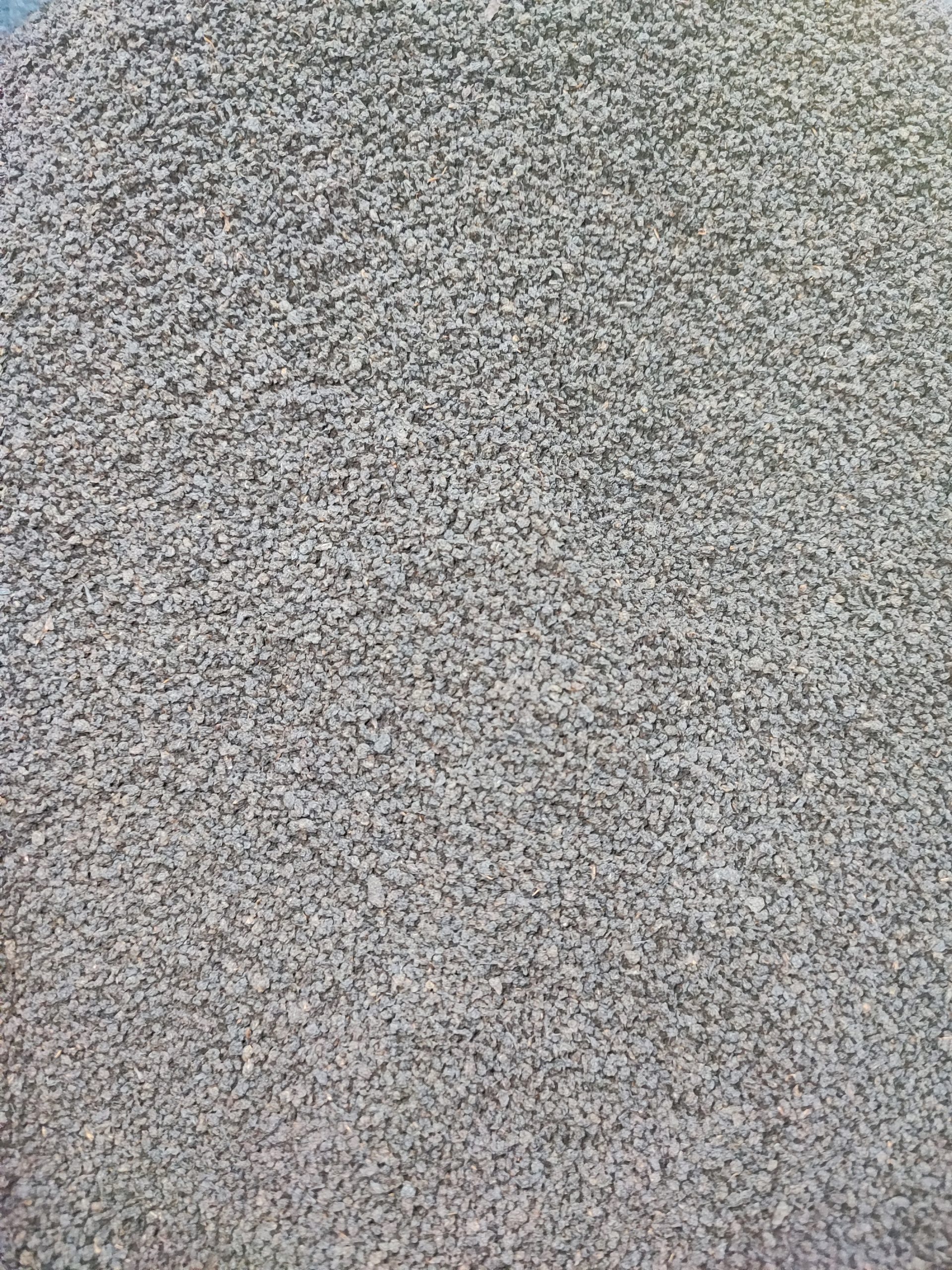 IMG 20241204 211644 scaled