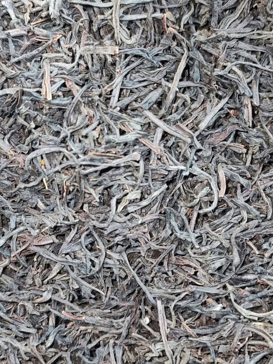 چای قلم ممتاز سیلان سیاره