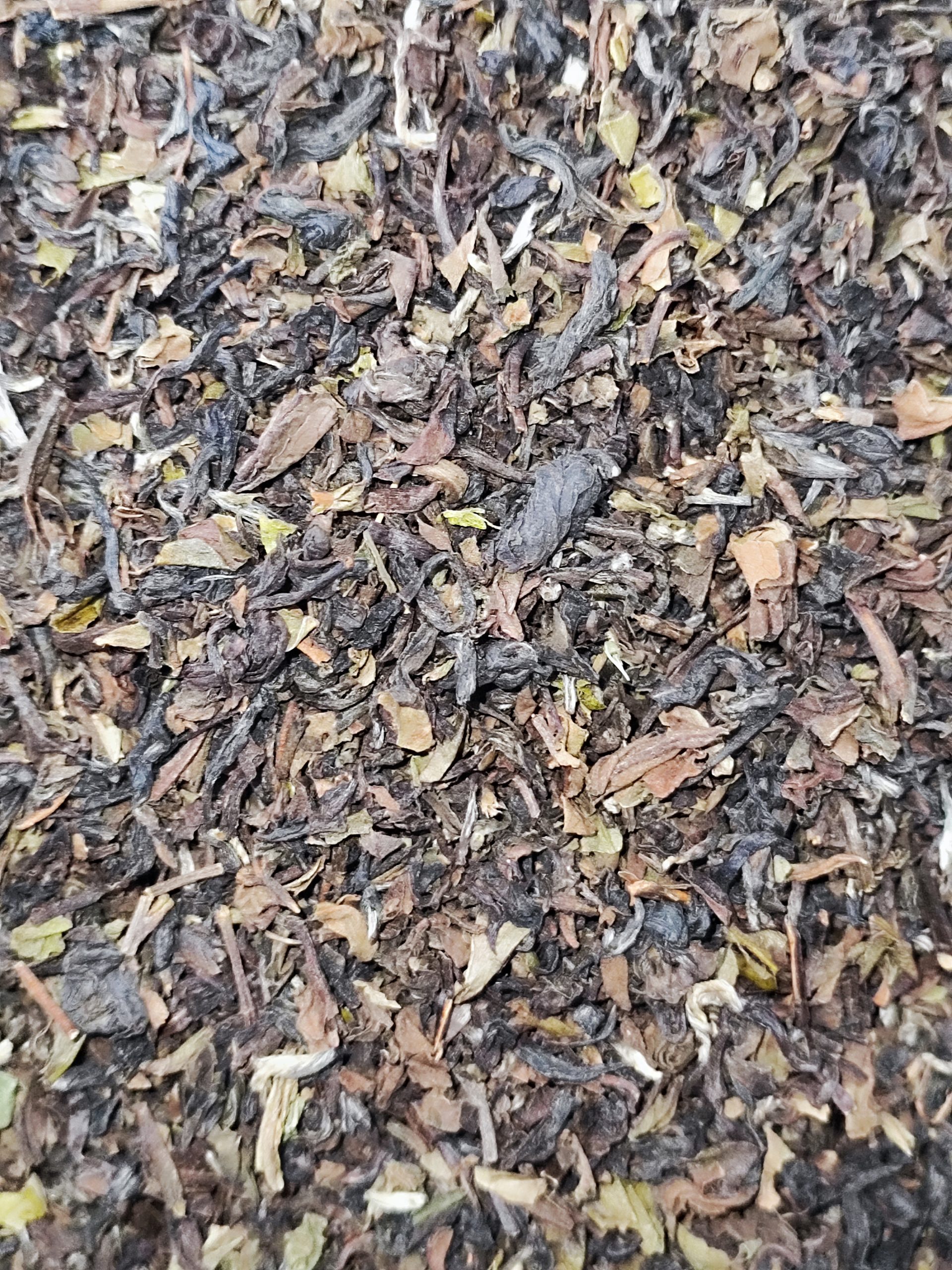 چای دارجلینگ اعلا (ارسال رایگان)